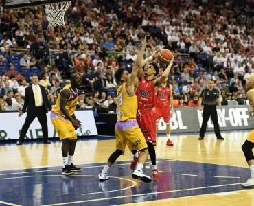  Taraflex® Performance