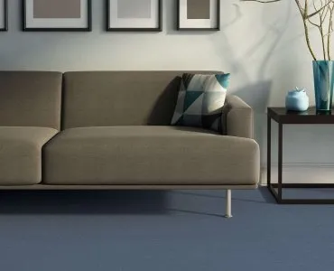  Taralay Element Compact